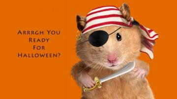 Happy Halloween Memes Wallpaper Teahub Io