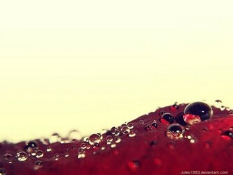 Drop By Wallpaper For Windows Pc And Apple Mac