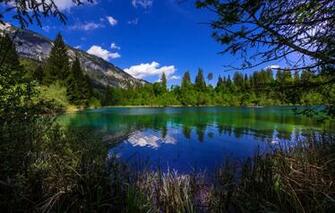 Wallpaper Greens Forest Summer The Sky Sun Clouds Trees