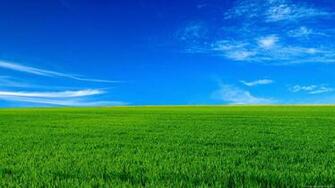 Nature Wallpaper Full HD 1080p Photo Desktop Background