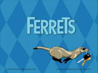 Ferret Wallpaper