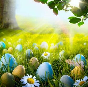 Easter Holiday Eggs Spring Grass Photo Sunlight Green Wallpaper