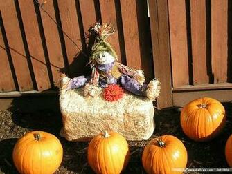 Fall Pumpkin Display Scarecrow Pumpkins Wallpaper Wallcoo Net