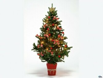 Christmas Wallpaper Tree On A White Background