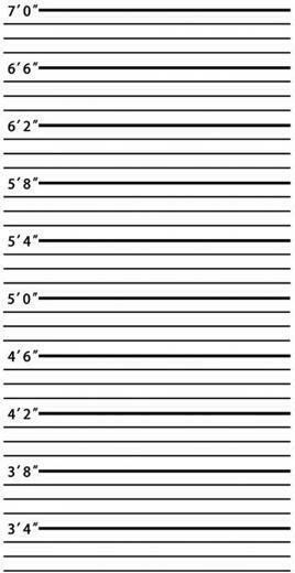 Amazon Mugshot Background Digital Photography Backdrop X
