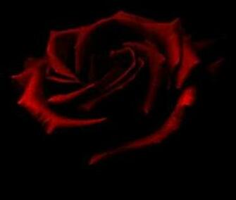 Dark Gothic Background Astonishing Rose Wallpaper