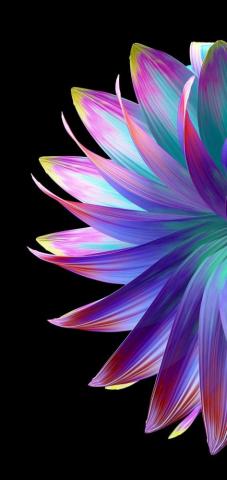 Flower Aesthetic Amoled Wallpaper Heroscreen Cool