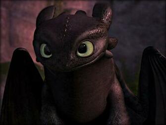 Toothless Train Your Dragon Wallpaper