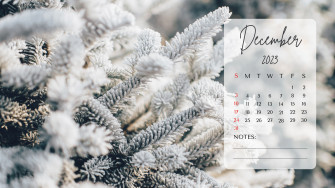 Desktop Background December A Dash Of Kam