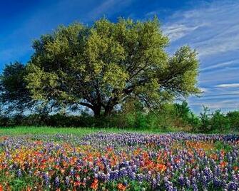 Very Nice Outdoor Photos Image Outdoors Lovers Mod Db