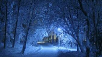 Winter Path Computer Wallpaper Desktop Background Id