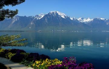 Wallpaper The Sky Water Flowers Mountains Lake Reflection