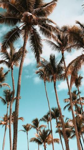 Best Most Beautiful Places To Visit iPhone HD Wallpaper