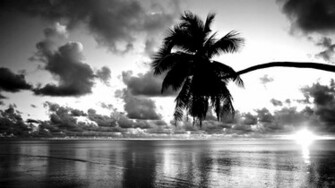 Beautiful Black And White Sunset Wallpaper