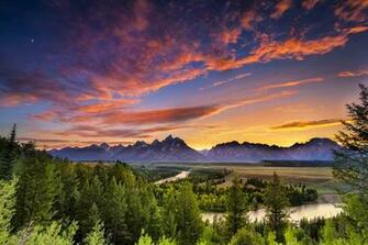 Yoming Scenery With Horses HD Wallpaper Background Image