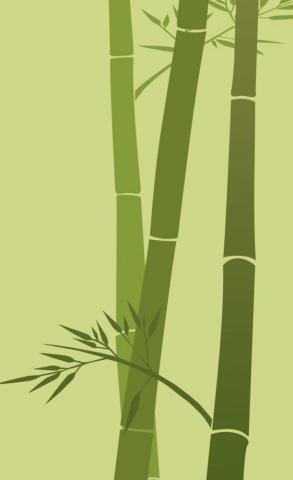 Mobile Bamboo Wallpaper HD