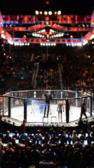 Ufc Octagon Live Fighters Boxing