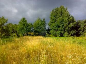 Late Summer By Mafteion