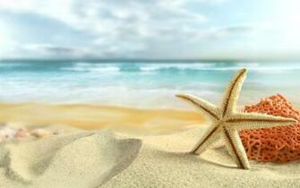 Ocean Sand Stars Starfish Sea Beaches Wallpaper