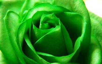 Green Swirl Wallpaper