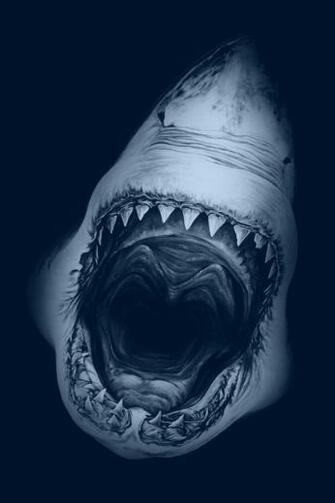 Great White Shark iPhone Wallpaper