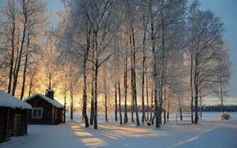 Finland Wallpaper Tags A Cabin Snow Trees Birch Sunrise Winter