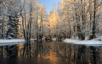 Tags Winter Season Wallpaper Ice Lake Shining Snow Trees In