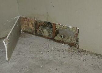 Sometimes The Mold Is Not Even Visible It Could Be Hidden Behind Such