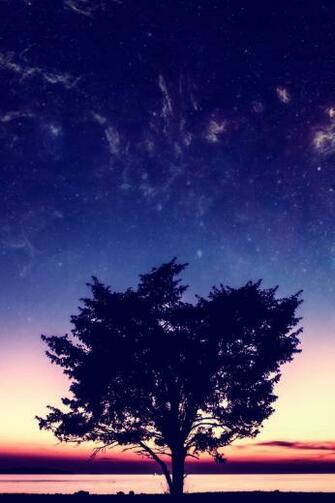 Sunset iPhone 4s Wallpaper S