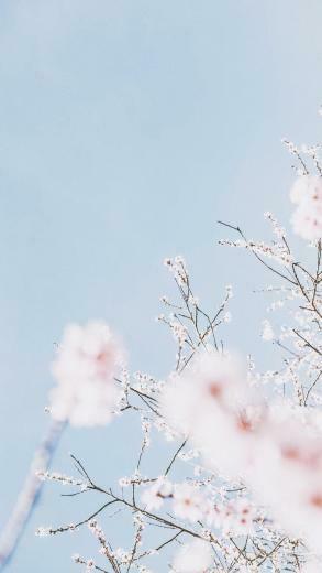 Pastel Blue Aesthetic Lockscreen HD Wallpaper