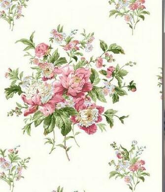 Evolution Totalwallcovering
