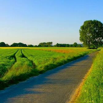 Summer Landscape Nature iPad Wallpaper iPhone