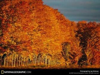 Of The Day Picture Photography Wallpaper National Geographic