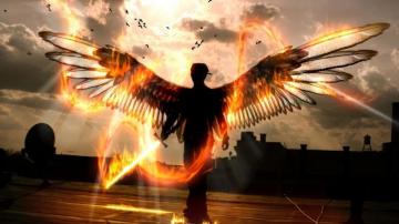 Wings Of Fire Wallpaper