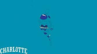 Charlotte Hornets By Devildog360
