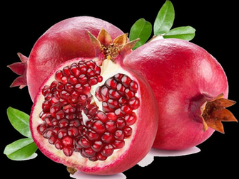 Pomegranate Clipart Vector Transparent