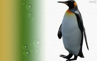 Penguin Wallpaper Of
