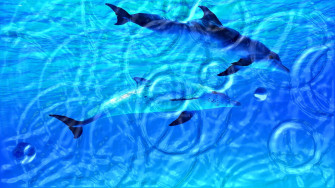 Moving Water Background Wallpaper