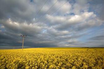 Countryside Wallpaper