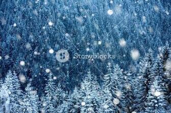 Christmas Background With Snow Covered Forest And Heavy Snowfall