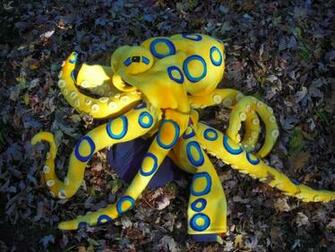 The Blue Ringed Octopus While Beautiful Is One Of Most Poisonous