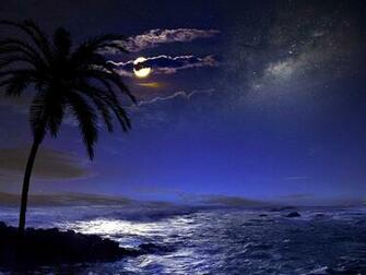 Full Moon On Tropical Beach Wallpaper