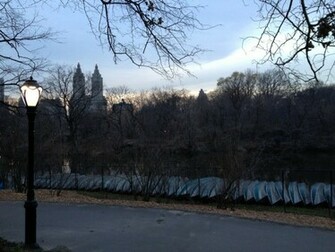 Central Park Wallpaper
