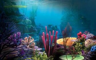Underwater Desktop Wallpaper