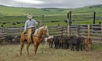 Rural Land Farms And Ranches In The Western Usa