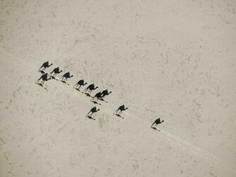 Greatest Photographs Wallpaper Gallery National Geographic