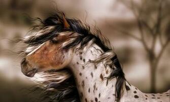 Leopard Appaloosa By Sylki51