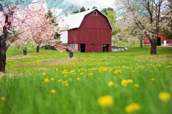 Spring Farm Wallpaper