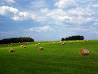 Farm Wallpaper