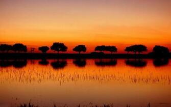 Swamp Sunset Wallpaper For Desktop Wallpaperlepi